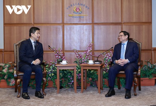 Entrevue entre Pham Minh Chinh et le président du Parlement de Singapour - ảnh 1