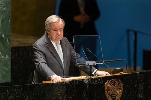 António Guterres au sommet de l'UE - ảnh 1