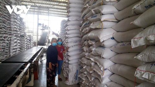 Le prix du riz vietnamien exporté est le plus élevé au monde - ảnh 1