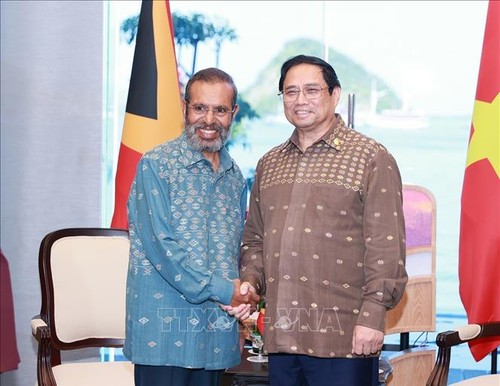 Le Vietnam et le Timor Oriental promeuvent la coopération dans différents domaines - ảnh 1