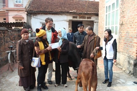 Dự án tặng bò cho người nghèo của người Việt tại Đức - ảnh 2