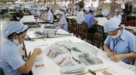 Việt Nam gia nhập Công ước 187 về Khung chính sách thúc đẩy an toàn vệ sinh lao động của ILO - ảnh 1