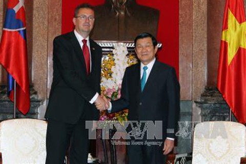 Việt Nam và Slovakia thúc đẩy hợp tác quốc phòng - ảnh 1