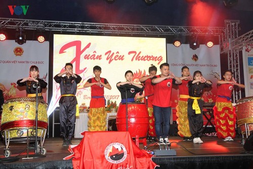 Cộng đồng người Việt tại Cộng hòa Liên bang Đức tưng bừng đón Xuân Đinh Dậu - ảnh 7