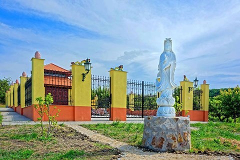 Mái chùa Việt  quảng bá văn hóa Việt cho người Hungary - ảnh 1