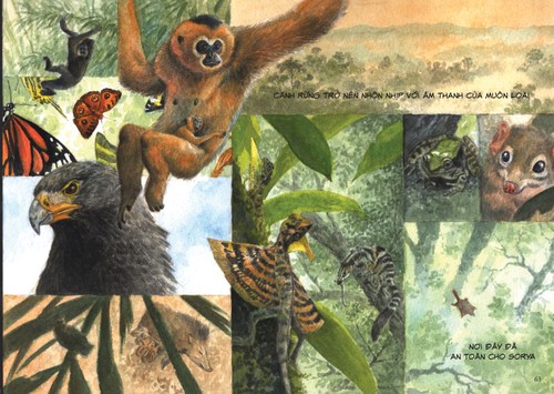 Artbook: Chang Hoang Dã – Gấu: Mở màn cho sê-ri tranh truyện bảo vệ sinh tồn cho động vật hoang dã - ảnh 7