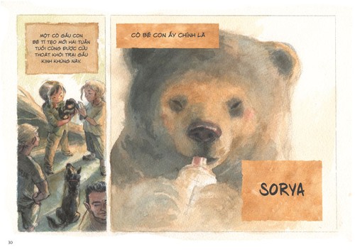 Artbook: Chang Hoang Dã – Gấu: Mở màn cho sê-ri tranh truyện bảo vệ sinh tồn cho động vật hoang dã - ảnh 5