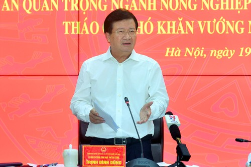 Phó Thủ tướng Trịnh Đình Dũng: Giải ngân vốn đầu tư công nhanh nhưng phải chất lượng, hiệu quả  - ảnh 1