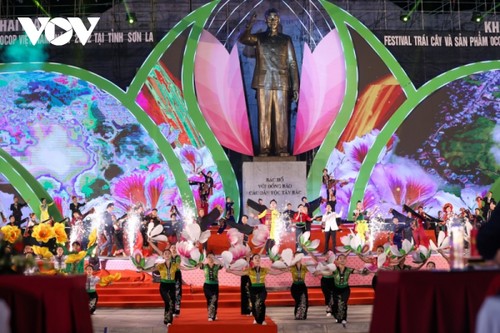 Con đường nông sản rực rỡ sắc màu tại Festival trái cây, sản phẩm OCOP Việt Nam năm 2022 - ảnh 2