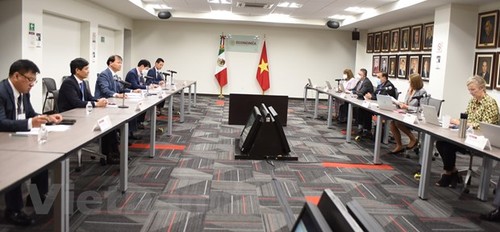Việt Nam và Mexico xúc tiến hợp tác thương mại, kinh tế và đầu tư - ảnh 1