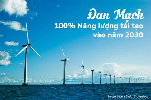 Nỗ lực hợp tác Việt Nam - Đan Mạch trong chuyển đổi năng lượng xanh  - ảnh 2