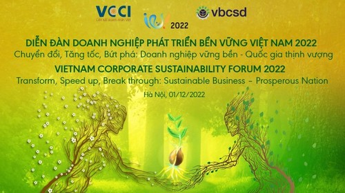 Diễn đàn Doanh nghiệp Phát triển bền vững Việt Nam - ảnh 1