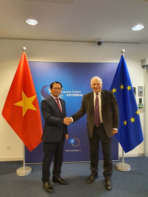 Tạo xung lực mới cho quan hệ hợp tác Việt Nam - EU - ảnh 2