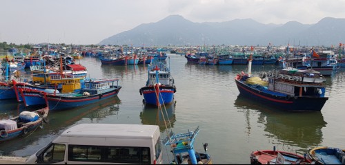 Ngư dân làng Cà Ná, tỉnh Ninh Thuận, vươn khơi bám biển - ảnh 2
