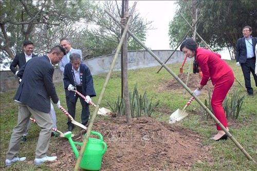 Hà Nội tiếp nhận, trồng 110 cây hoa Anh đào tại Công viên Hòa Bình - ảnh 1