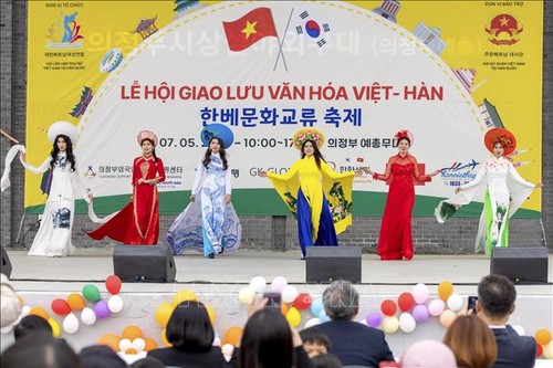 Lan tỏa văn hóa truyền thống Việt Nam tại Hàn Quốc - ảnh 1