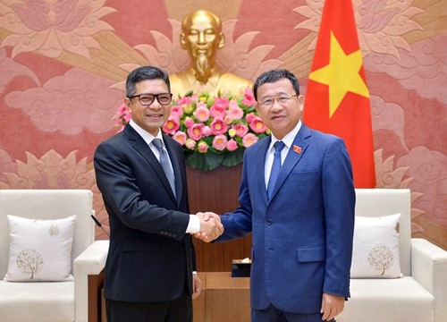 Thắt chặt hơn nữa hợp tác giữa hai cơ quan lập pháp Việt Nam - Indonesia - ảnh 1