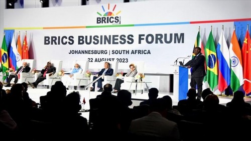 BRICS và mục tiêu cùng tăng tốc, phát triển bền vững  - ảnh 2