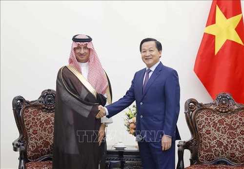 Việt Nam coi trọng việc tăng cường hơn nữa quan hệ hữu nghị và hợp tác nhiều mặt với Saudi Arabia  - ảnh 1