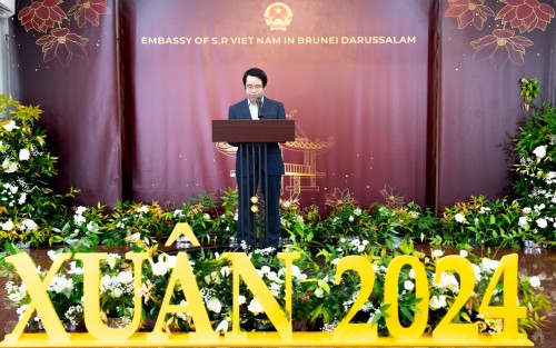 Đại sứ quán Việt Nam tại Brunei tổ chức chương trình Xuân Quê hương 2024 - ảnh 1