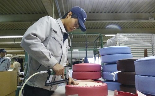 Nhật Bản thu hút nhiều lao động Việt Nam nhất - ảnh 1
