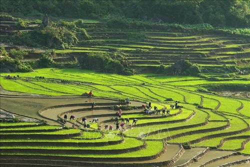 Triển lãm du lịch qua các miền di sản và danh thắng Việt Nam - ảnh 1