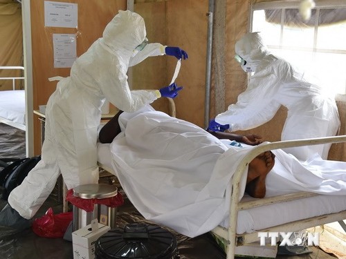 องค์การอนามัยโลกจัดทำแผนยุทธศาสตร์รับมือกับการแพร่ระบาดของโรคอีโบลา - ảnh 1