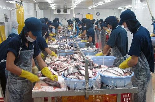 ส.ว.สหรัฐเสนอให้ยกเลิกโครงการตรวจสอบปลาที่ไม่มีเกล็ด - ảnh 1
