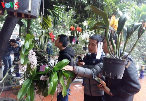 งานเทศกาลดอกกล้วยไม้ในกรุงฮานอย - ảnh 1