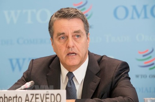 WTO เตือนเกี่ยวกับผลกระทบจากลัทธิคุ้มครองการค้าต่อเศรษฐกิจโลก - ảnh 1