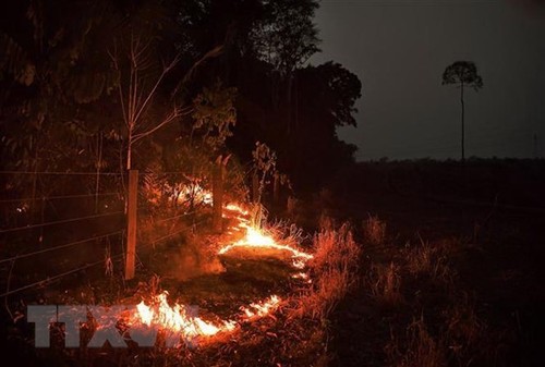 พบจุดร้อนที่เกิดไฟไหม้ป่ากว่า 2.500 จุดในเอเชียตะวันออกเฉียงใต้ - ảnh 1