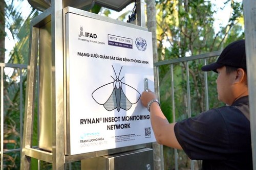 ระบบการเฝ้าระวังแมลงศัตรูพืชอัจฉริยะของเวียดนามเจาะตลาดญี่ปุ่น - ảnh 1