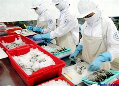 EEUU declara que camarones vietnamitas no violan leyes antidumping - ảnh 1