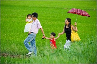 Promueve Vietnam el año de la familia 2013 - ảnh 1
