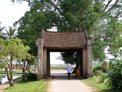 La estructura tradicional de las aldeas de los Kinh - ảnh 1