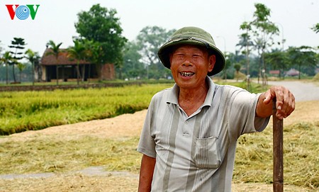 Buenas cosechas en la aldea de Duong Lam - ảnh 19