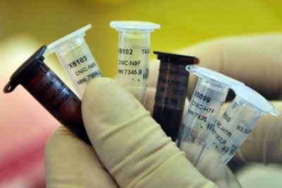 Confirmado el primer caso de infección del virus H7N9 - ảnh 1