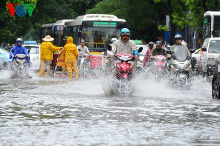 Actualiza Vietnam guiones del cambio climático y elevación del nivel del mar - ảnh 1