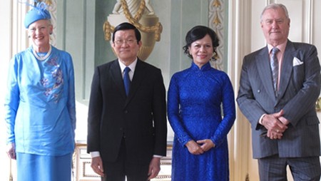 Vietnam y Dinamarca avanzan hacia relaciones de asociación integral - ảnh 1