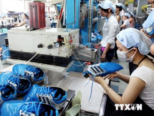 Exportaciones de cuero y calzado de Vietnam se prevén alcanzar 18 mil millones de dólares en 2017 - ảnh 1