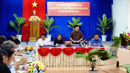 Viceprimer ministro orienta sobre prevención de deslizamientos de tierra en Delta del río Mekong - ảnh 1
