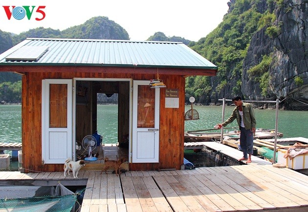 Nuevos medios de subsistencia para pescadores de la Bahía de Ha Long - ảnh 2