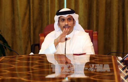 Francia urge a los países árabes a levantar sanciones contra Qatar - ảnh 1