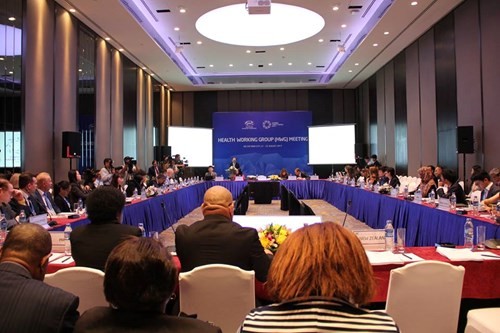 Inaugurada la II Reunión del Grupo Sanitario de APEC - ảnh 1