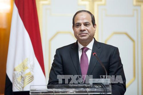 La visita del presidente del Egipto a Vietnam busca escribir nueva página de relaciones bilaterales - ảnh 1