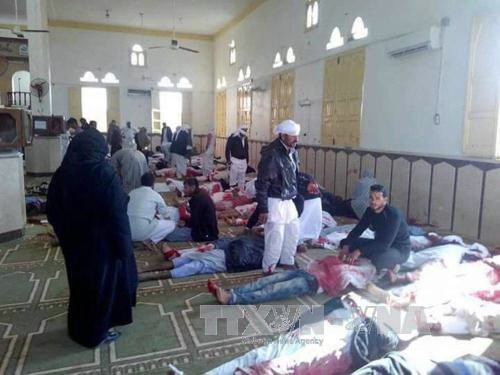 La comunidad internacional critica el atentado terrorista en la mezquita Al Rawdah en Egipto - ảnh 1