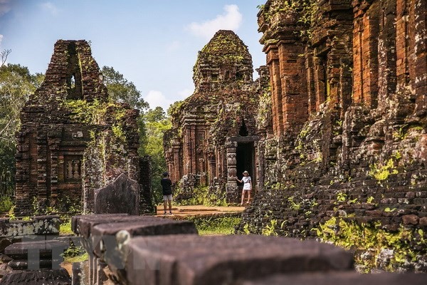 India ayuda a Vietnam a traducir inscripciones en el Santuario de My Son - ảnh 1