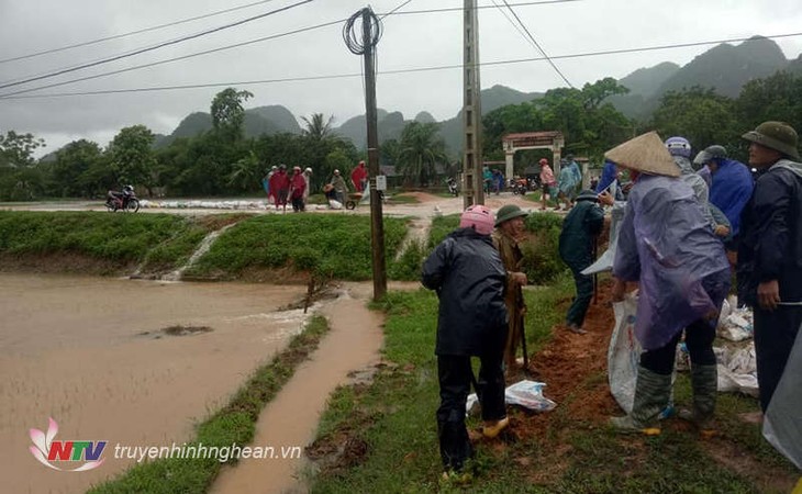 Región norvietnamita sigue con labores para minimizar las consecuencias del huracán Son Tinh - ảnh 1