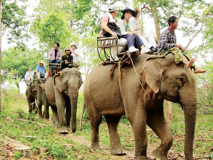 Región central de Vietnam busca reformar el desarrollo del ecoturismo - ảnh 1