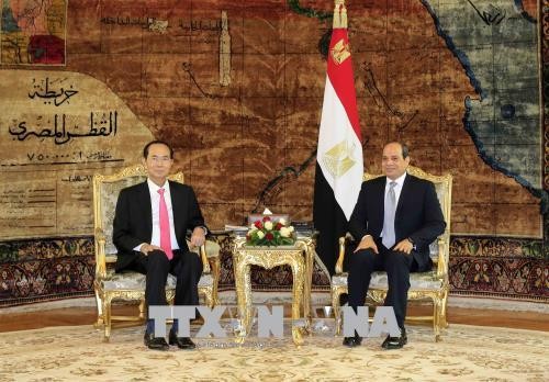 Jefe de Estado de Vietnam termina visita de trabajo a Egipto - ảnh 1